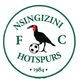 Nsingizini Hotspurs